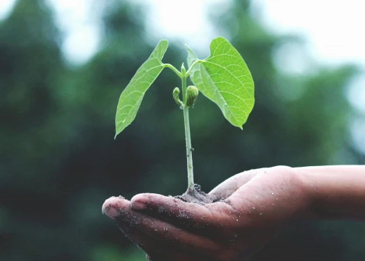 Dispositivos ecológicos