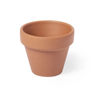 Vaso de flores, 5-8 sementes de petúnia e terra - neutra