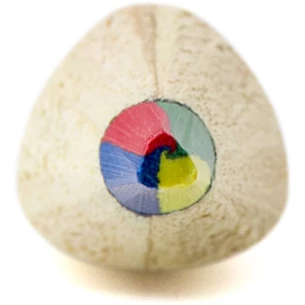 Lápis, estilete multicolorido Varius - castanho claro
